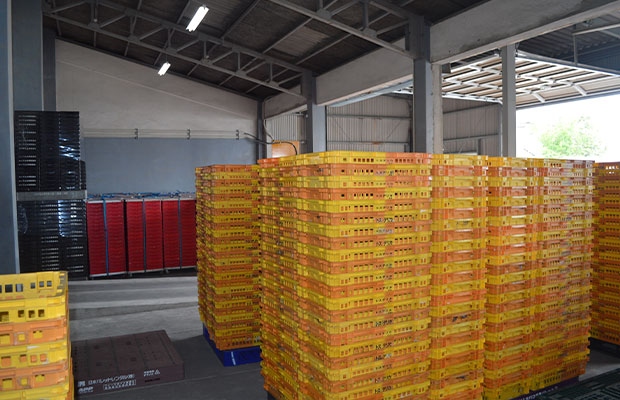 折りたたみ式コンテナ